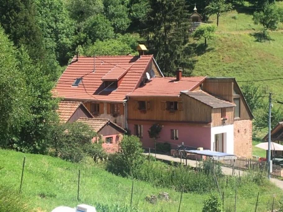 Gite De La Grande Verrerie 6 Personnes Ribeauville 외부 사진